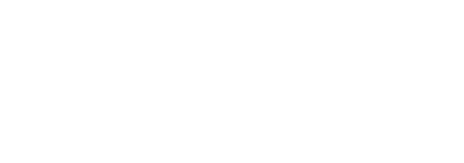 NetSMT Solutions